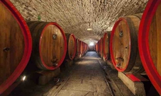 Degustazione privata di Chianti classico: tour di una giornata da Firenze