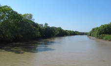 Jumping Crocodiles Cruise