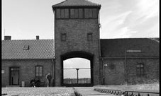 Super Saver di Auschwitz e della Miniera di Sale di Wieliczka in 2 giorni