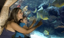 Tour del Xcaret Eco-Waterpark