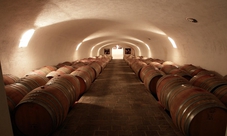 Degustazione vino e olio Lago di Garda