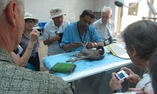 Tour dell'ospedale per falchi in Abu Dhabi