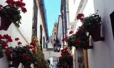 Tour guidato di Cordoba