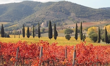 Montepulciano and the Nobile wine tour with lunch in a local restaurant and wine tasting