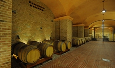 Private Gavi wine tasting at Magda Pedrini winery, Piedmont