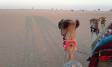 Escursione nel Deserto di Dubai con Cena