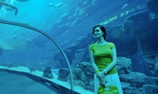 Tour di Dubai: Burj Khalifa, Acquario, Marina e Souk locali