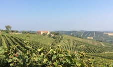 Weekend Enogastronomico Piemonte Cantine Monferrato 