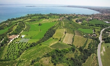 Degustazione vino e olio Lago di Garda