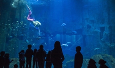 Biglietti per l'acquario di Parigi