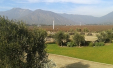 Emiliana & Bodegas RE Wine Tour