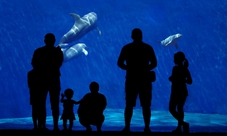 Notte in Hotel + Acquario di Genova per Famiglia