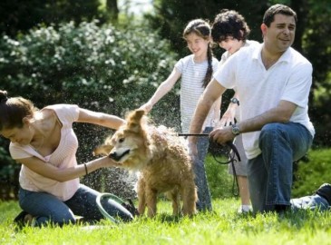 Attività varie dog friendly