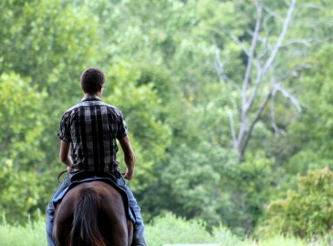 Omaggi Clienti Cavalcata a Cavallo 