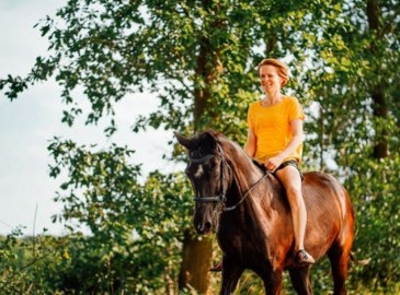 Omaggi Dipendenti Giro a Cavallo 