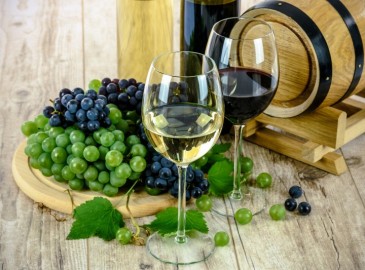 Degustazione vino in castello in Lombardia