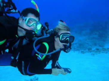 Diving Liguria