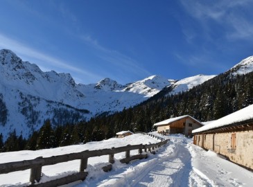 Regali Aziendali Natale Weekend in Montagna per Due