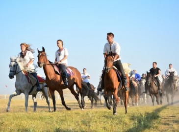 Premio Dipendente Equitazione