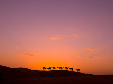 Pacchetti Viaggio nell’Africa del Nord: Marrakech e Marsa Alam