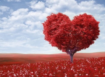 San Valentino Last Minute 2026