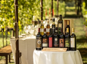 Esperienze di vino | Tenuta Torciano