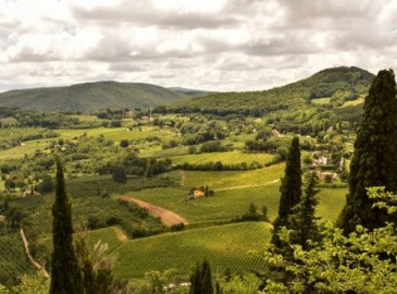 Omaggio dipendenti esperienze in Toscana