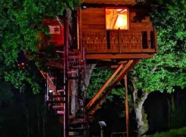 Soggiorno con Esperienza nella Natura in Tenuta Bocchineri 