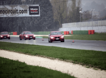 Circuit driving experiences