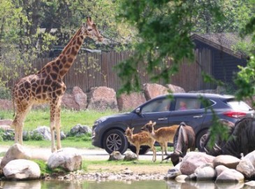 Family Fun Weekend Parco Natura Viva