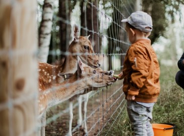 Esperienze per bambini con animali