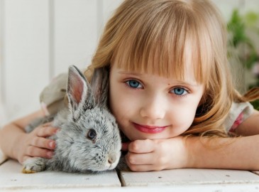 Regala un animale domestico