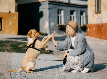Musei dog friendly