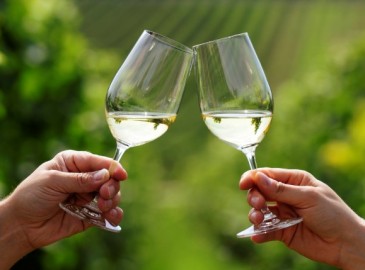 Degustazione Vini e visita cantina Feudi di San Gregorio 