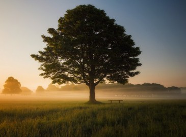 Omaggio Natura per Clienti Speciali