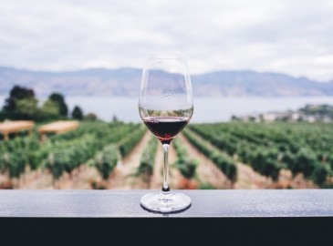 Degustazione Vini Umbria