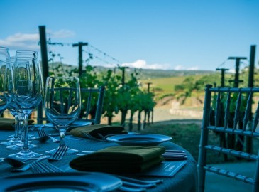 Omaggio clienti Pranzo in Agriturismo Italia