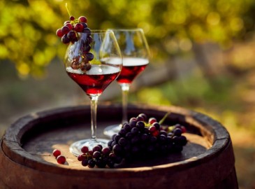 Degustazione Vino Milano