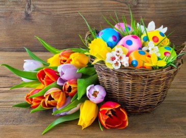 Pasqua 2024