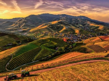 Soggiorni Originali in Toscana