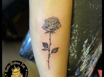 Buono Regalo Piercing e Tatuaggio | Tatta Modena Ink - Tattoo & Piercing