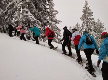 Premio Dipendente Esperienze Invernali