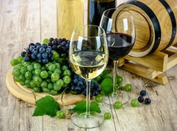 Degustazione vino guidata: esperienza in cantina e wine tasting regalo originale