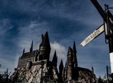Pacchetto Famiglia Harry Potter