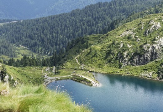 Esperienze Trentino Alto Adige