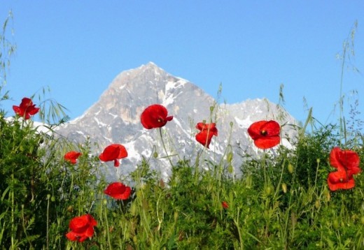 Esperienze Abruzzo