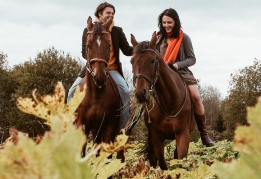 Esperienze a Cavallo