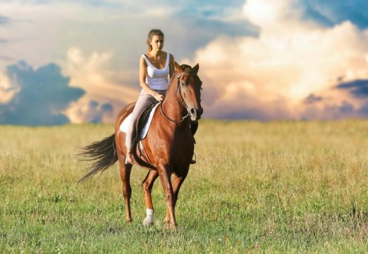 Esperienze A Cavallo In Puglia