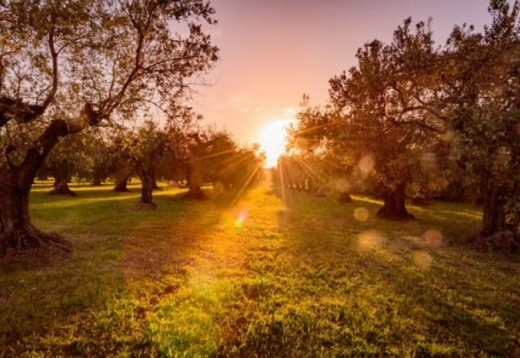 Entusiasmante outdoor di Primavera