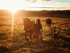 Esperienze a Cavallo da Regalare